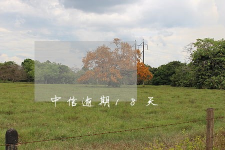 中信逾期18天 中信逾期18天