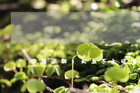中信逾期1天上不上征信 中信逾期1天上不上征信