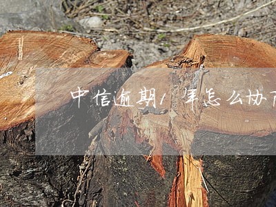 中信逾期1年怎么协商 中信逾期1年怎么协商
