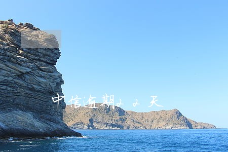 中信逾期22天