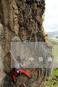 中信逾期24小时还清 中信逾期24小时还清