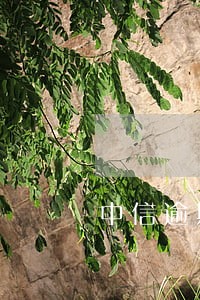 中信逾期2万能协商几期还 中信逾期2万能协商几期还