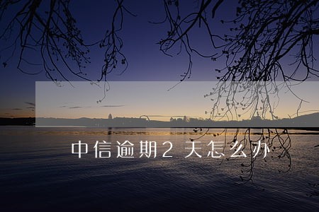 中信逾期2天怎么办 中信逾期2天怎么办