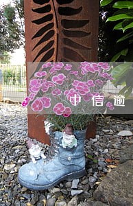 中信逾期2年了 中信逾期2年了