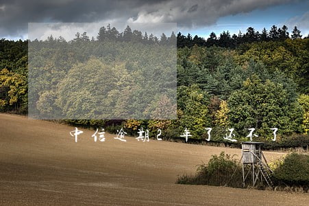 中信逾期2年了还不了 中信逾期2年了还不了