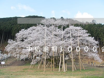 中信逾期30000会上门吗 中信逾期30000会上门吗