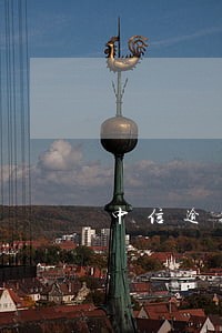 中信逾期3000多久上门