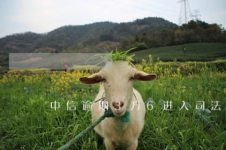 中信逾期3万6进入司法程序后 中信逾期3万6进入司法程序后