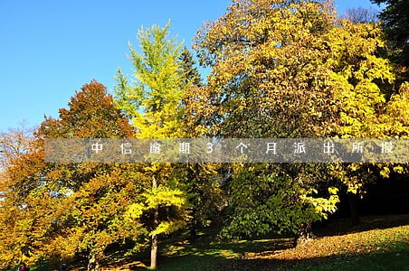中信逾期3个月派出所报案 中信逾期3个月派出所报案
