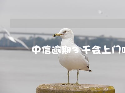 中信逾期3千会上门吗 中信逾期3千会上门吗