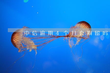 中信逾期4个月会拘留吗 中信逾期4个月会拘留吗