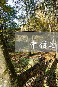 中信逾期4天征信 中信逾期4天征信