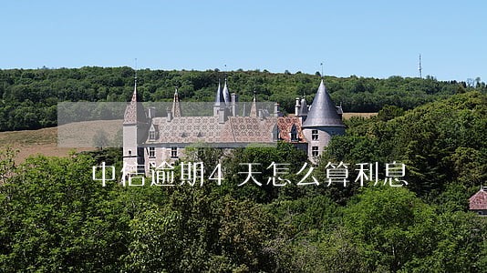 中信逾期4天怎么算利息 中信逾期4天怎么算利息