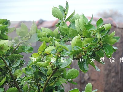 中信逾期50天就说传票 中信逾期50天就说传票