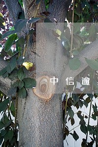 中信逾期5天停卡 中信逾期5天停卡