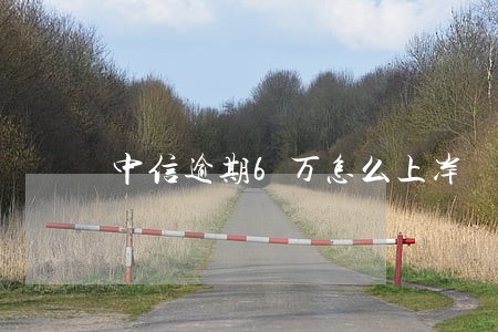 中信逾期6万怎么上岸 中信逾期6万怎么上岸