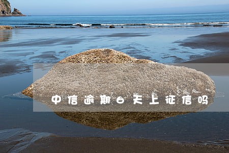 中信逾期6天上征信吗 中信逾期6天上征信吗