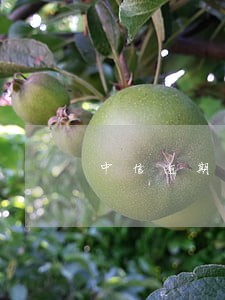 中信逾期7000一年多 中信逾期7000一年多