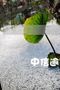 中信逾期7天催收 中信逾期7天催收