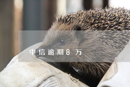 中信逾期8万 中信逾期8万
