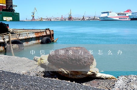 中信逾期8万多怎么办 中信逾期8万多怎么办