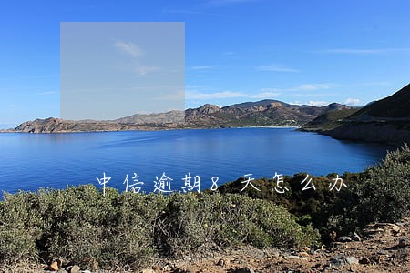 中信逾期8天怎么办