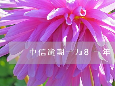 中信逾期一万8一年