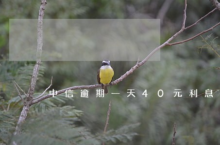中信逾期一天40元利息