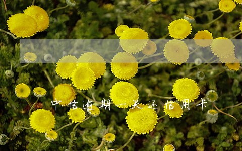 中信逾期一天还信用卡 中信逾期一天还信用卡