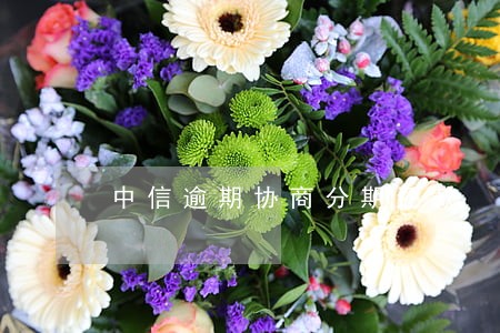 中信逾期协商分期还款 中信逾期协商分期还款