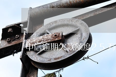 中信逾期欠款额度25万 中信逾期欠款额度25万