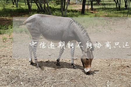 中信逾期能不能协商只还本金 中信逾期能不能协商只还本金