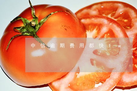 中信逾期费用都快1w 中信逾期费用都快1w