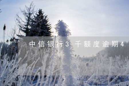 中信银行3千额度逾期4个月 中信银行3千额度逾期4个月