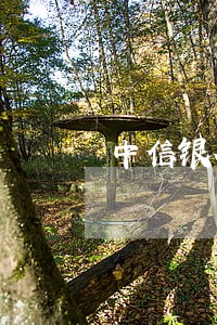 中信银行3天属于逾期吗 中信银行3天属于逾期吗