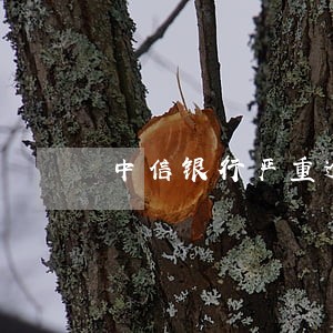 中信银行严重逾期会怎么样 中信银行严重逾期会怎么样