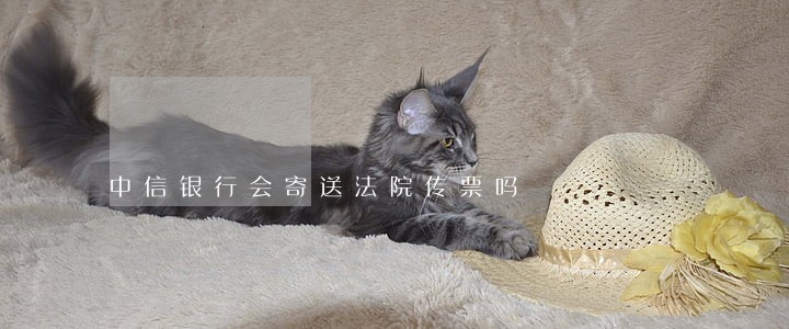 中信银行会寄送法院传票吗 中信银行会寄送法院传票吗