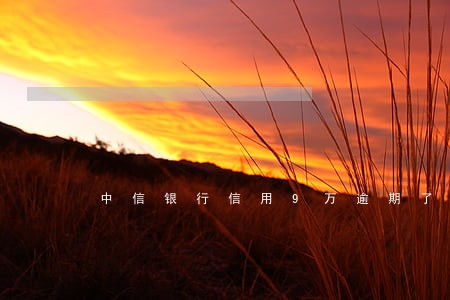 中信银行信用9万逾期了 中信银行信用9万逾期了