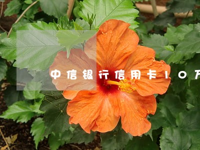 中信银行信用卡10万逾期半年
