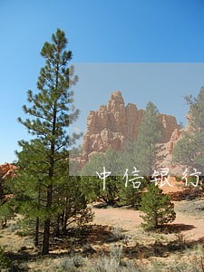 中信银行信用卡中心逾期三天 中信银行信用卡中心逾期三天