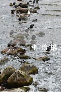 中信银行信用卡二十万逾期 中信银行信用卡二十万逾期