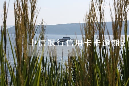 中信银行信用卡卡逾期30天 中信银行信用卡卡逾期30天