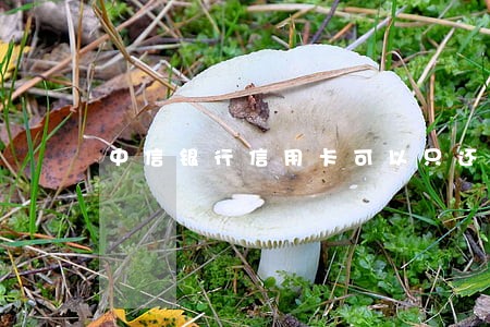 中信银行信用卡可以只还本金 中信银行信用卡可以只还本金