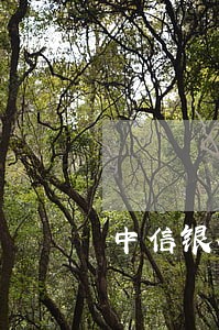 中信银行信用卡怎么协商逾期 中信银行信用卡怎么协商逾期
