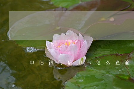 中信银行信用卡怎么查逾期 中信银行信用卡怎么查逾期