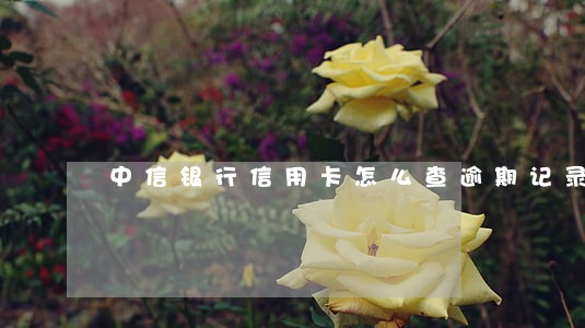 中信银行信用卡怎么查逾期记录 中信银行信用卡怎么查逾期记录