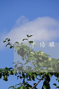 中信银行信用卡是否有逾期 中信银行信用卡是否有逾期