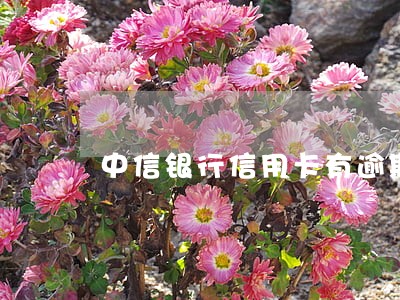 中信银行信用卡有逾期怎么处理