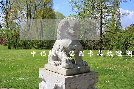 中信银行信用卡欠款逾期十万 中信银行信用卡欠款逾期十万