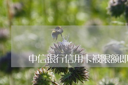 中信银行信用卡被限额即将逾期 中信银行信用卡被限额即将逾期